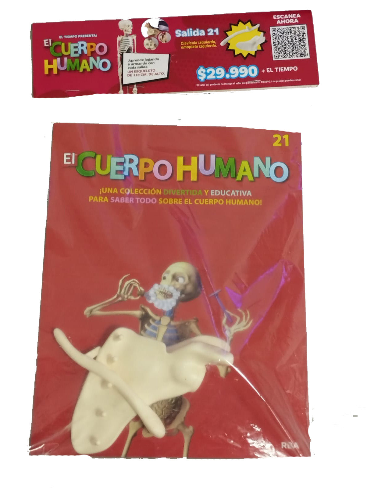 Colección El Cuerpo Humano - Clavícula Izquierda SALIDA 21