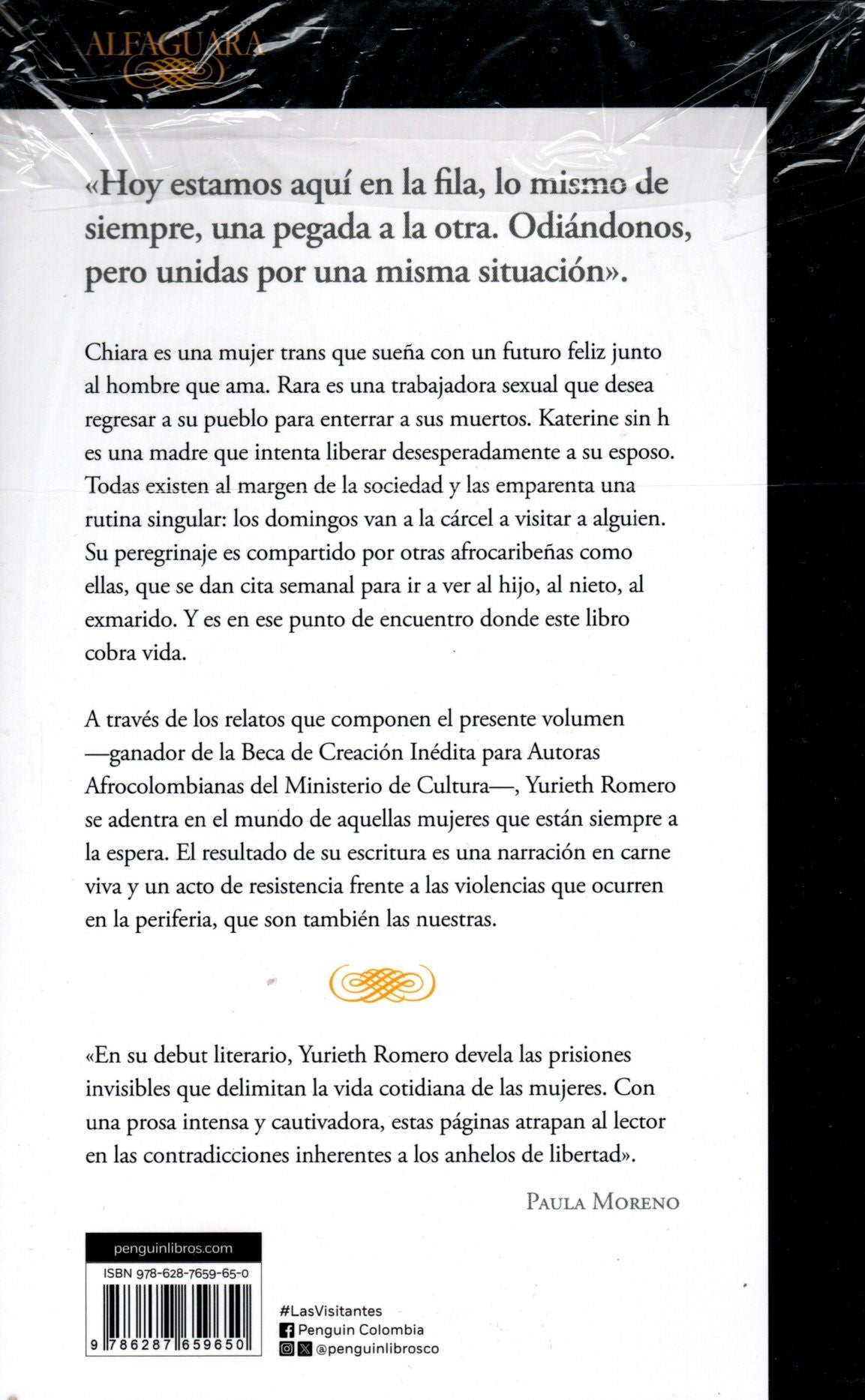 Libro Yurieth Romero - Las visitantes