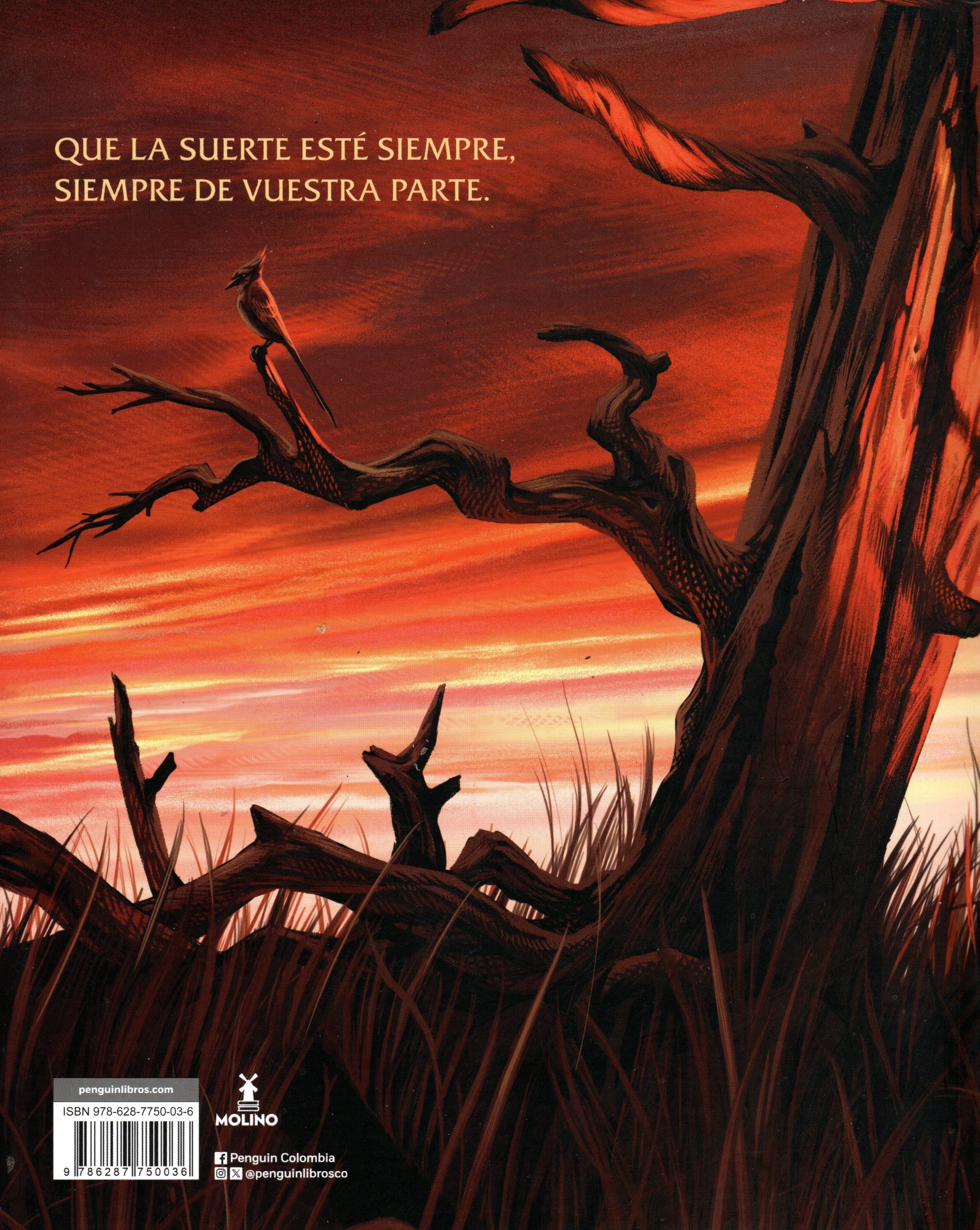 Libro Suzanne Collins - Los Juegos del Hambre 1 (Edición ilustrada)